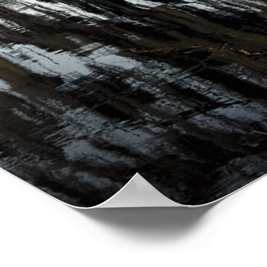 St Charles Parish Swamp Reflections Poster (Hoek)