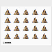St. Clare of Assisi Sticker (Vel)