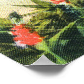 St. Clement's College Grotto Poster (Hoek)