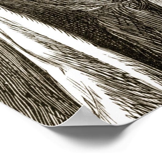 St. Columba verandert bittere vruchten in zoet, va Poster (Hoek)