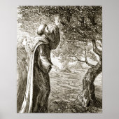 St. Columba verandert bittere vruchten in zoet, va Poster (Voorkant)