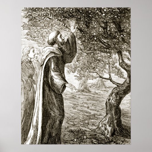 St. Columba verandert bittere vruchten in zoet, va Poster (Voorkant)