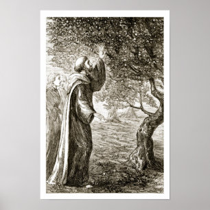 St. Columba verandert bittere vruchten in zoet, va Poster