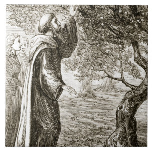 St. Columba verandert bittere vruchten in zoet, va Tegeltje