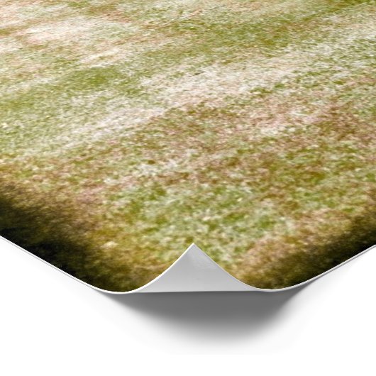 St. Croix Poster (Hoek)