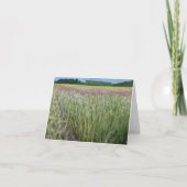 St. Croix Savannah SNA - Prairie Bedankkaart (Voorkant)