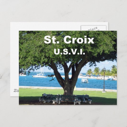 St. Croix U.S.V.I. Briefkaart (Voorkant / Achterkant)