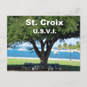 St. Croix U.S.V.I. Briefkaart (Voorkant)