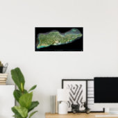 St. Croix US Maagdeneilanden satelliet-poster Poster (Thuiskantoor)