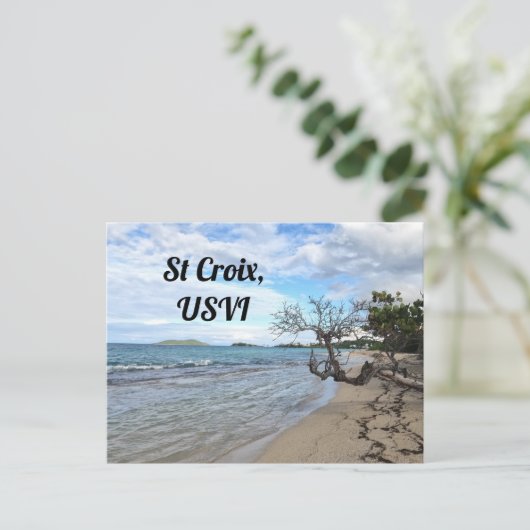 St. Croix USVI Briefkaart (Staand voorkant)