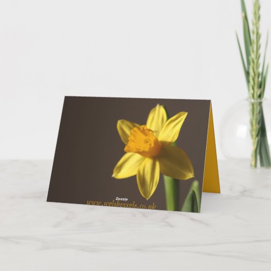 St. David de Kaart van de Dag (Achterkant)