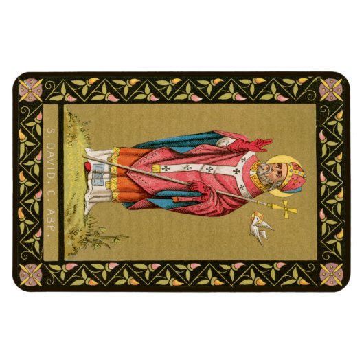 St. David of Wales (P 001) Magneet (Horizontaal)