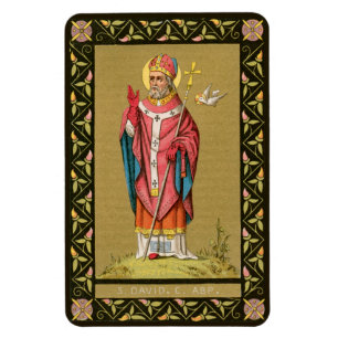 St. David of Wales (P 001) Magneet