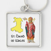 St. David of Wales (P 001) met overzicht Map Sleutelhanger (Voorkant)