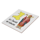 St. David of Wales (P 001) met overzicht Map Tegeltje (Zijkant)