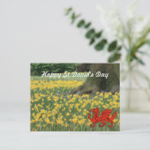 St. David's Day Daffodils Briefkaart (Staand voorkant)