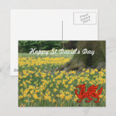 St. David's Day Daffodils Briefkaart (Voorkant / Achterkant)