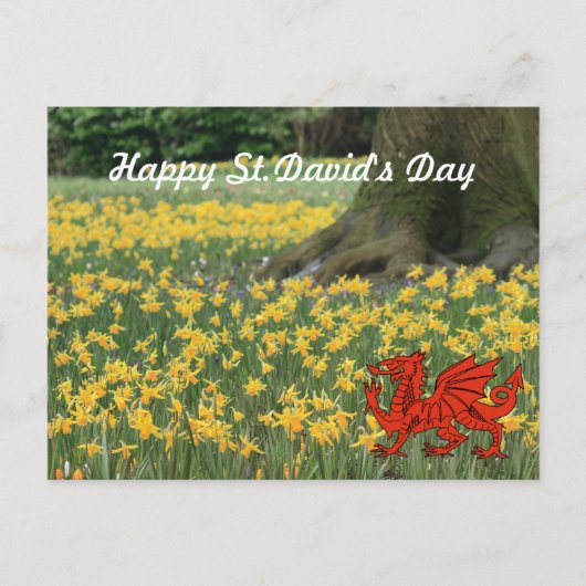St. David's Day Daffodils Briefkaart (Voorkant)