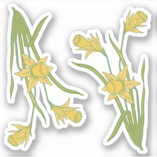 St. David's of St. Piran's Day Daffodils (fL) - Sticker (Voorkant)