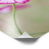 ST DEZE VAN LISIEUX ALS ELKE TINY FLOWER WILDE FOTO AFDRUK (Hoek)