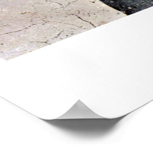 St. Dominic van Fra Angelico Poster (Hoek)