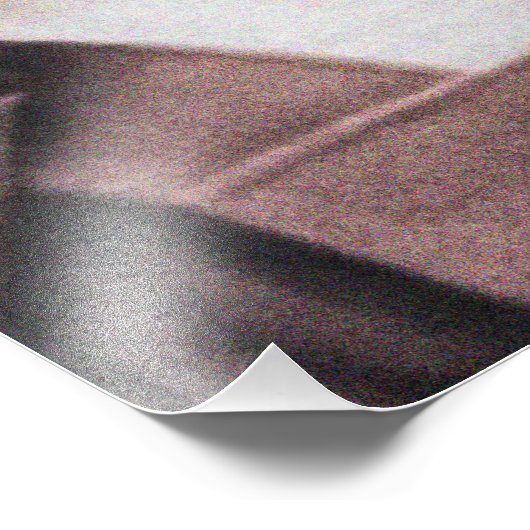 St. Edith Stein Foto Afdruk (Hoek)