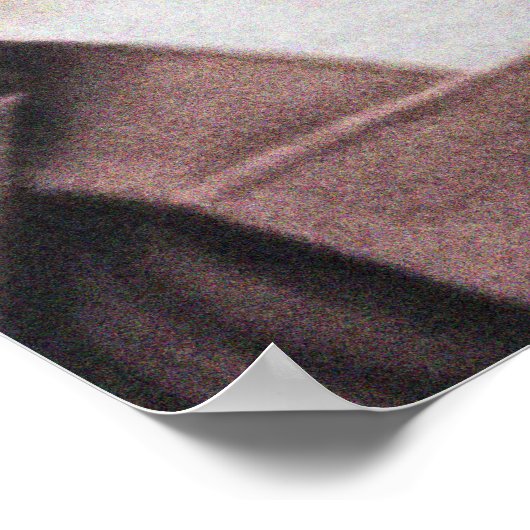 St. Edith Stein Poster (Hoek)