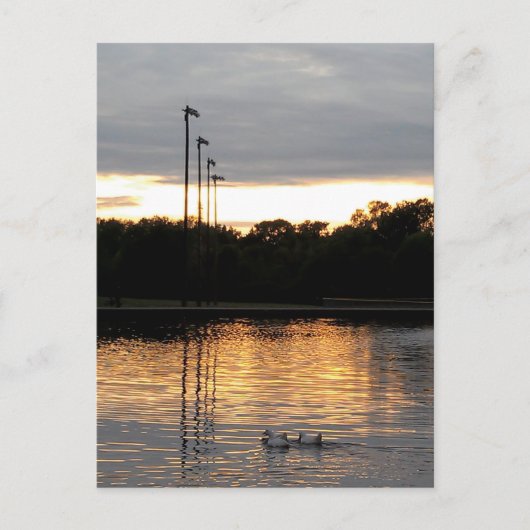 St. Ferdinand Park Briefkaart (Voorkant)