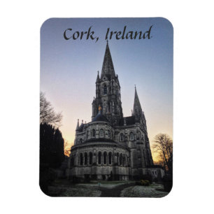 St. Fin Barre's Cathedral, Cork Ireland Magnet Magneet