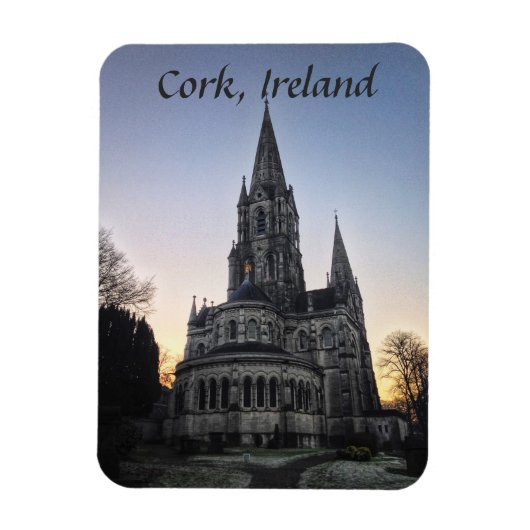 St. Fin Barre's Cathedral, Cork Ireland Magnet Magneet (Verticaal)