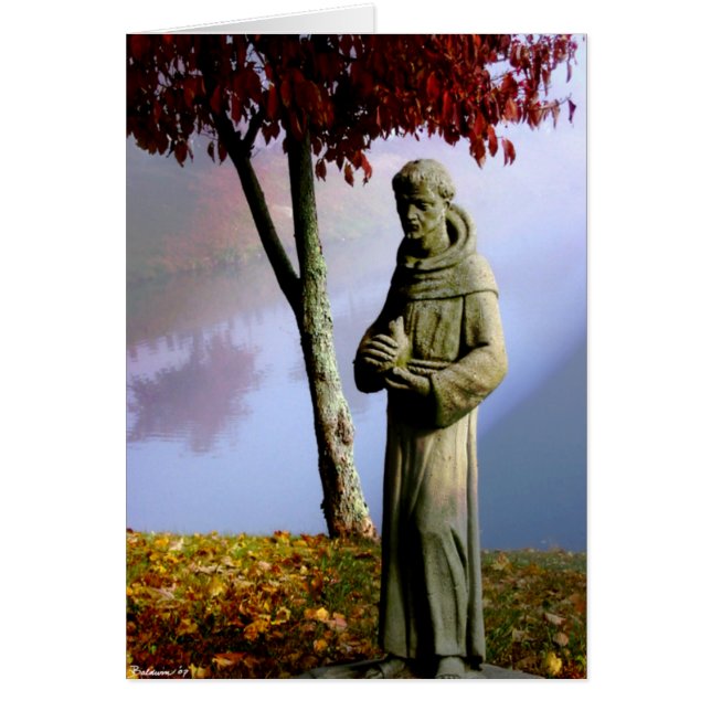 St Francis (Voorkant)
