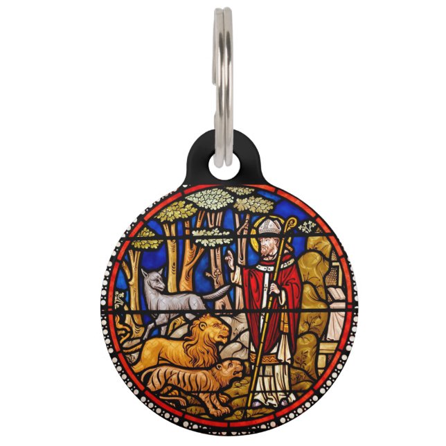 St. Francis Animal Protector Huisdierpenning (Voorkant)