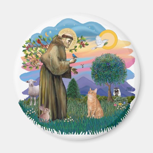 St Francis (ff) - Oranje Tabby cat Magneet (Voorkant)