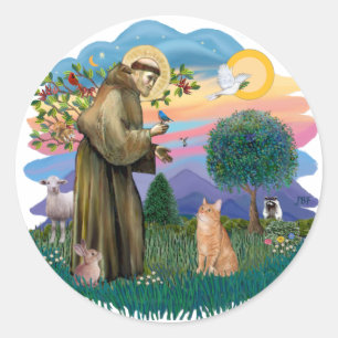St Francis (ff) - Oranje Tabby cat Ronde Sticker