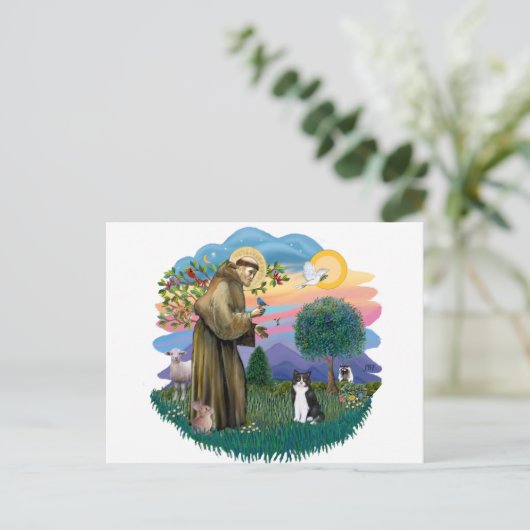 St Francis (ff) - Zwarte en witte kat Briefkaart (Staand voorkant)