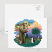 St Francis (ff) - Zwarte en witte kat Briefkaart (Voorkant / Achterkant)