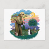 St Francis (ff) - Zwarte en witte kat Briefkaart (Voorkant)