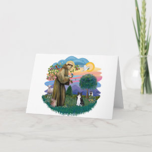 St Francis (ff) - Zwarte en witte kat Kaart
