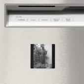 St. Francis Magneet (Insitu (Vaatwasser))