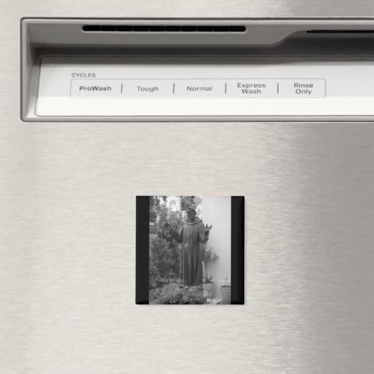 St. Francis Magneet (Insitu (Vaatwasser))