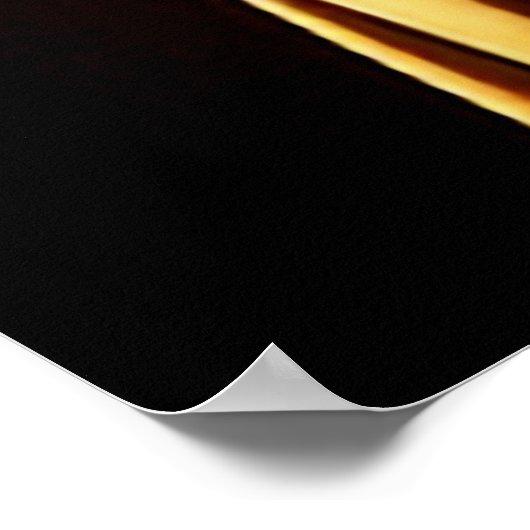 St Francis of Assisi - San Francisco de Asis 03 Poster (Hoek)