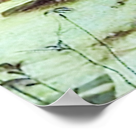 St Francis of Assisi - San Francisco de Asis 07 Poster (Hoek)