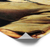 St Francis of Assisi - San Francisco de Asis 12 Poster (Hoek)