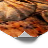 St Francis of Assisi - San Francisco de Asis 16 Poster (Hoek)