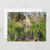 St. Francis onder Pansies Briefkaart (Voorkant / Achterkant)