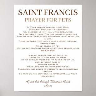 St. Francis Prayer voor huisdieren Poster