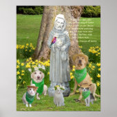 St. Francis Quotation Poster (Voorkant)