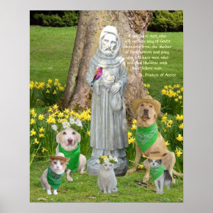 St. Francis Quotation Poster