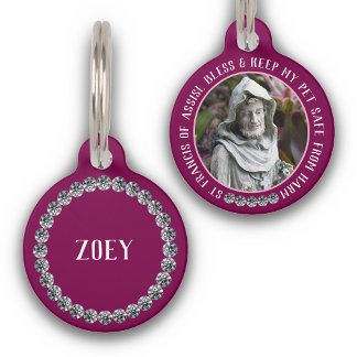 St Francis Safe Pet Protector Name Photo Custom Huisdierpenning
