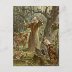St. Francis van Assisi Omringd door dieren Briefkaart